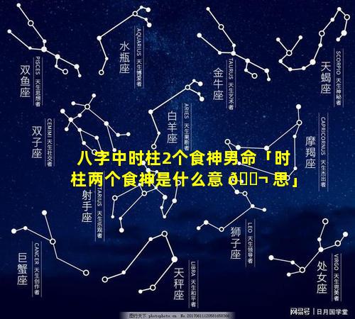 八字中时柱2个食神男命「时柱两个食神是什么意 🐬 思」